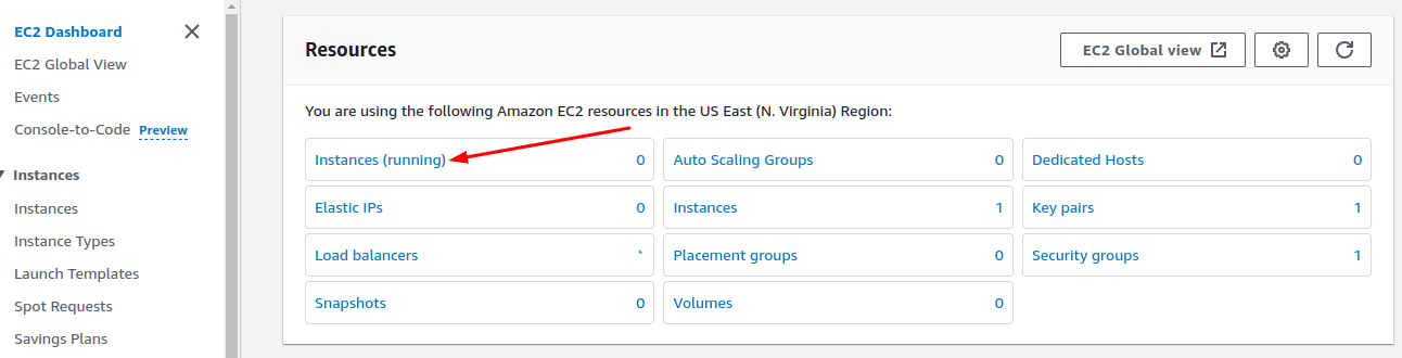 Create an AWS EC2 Instance