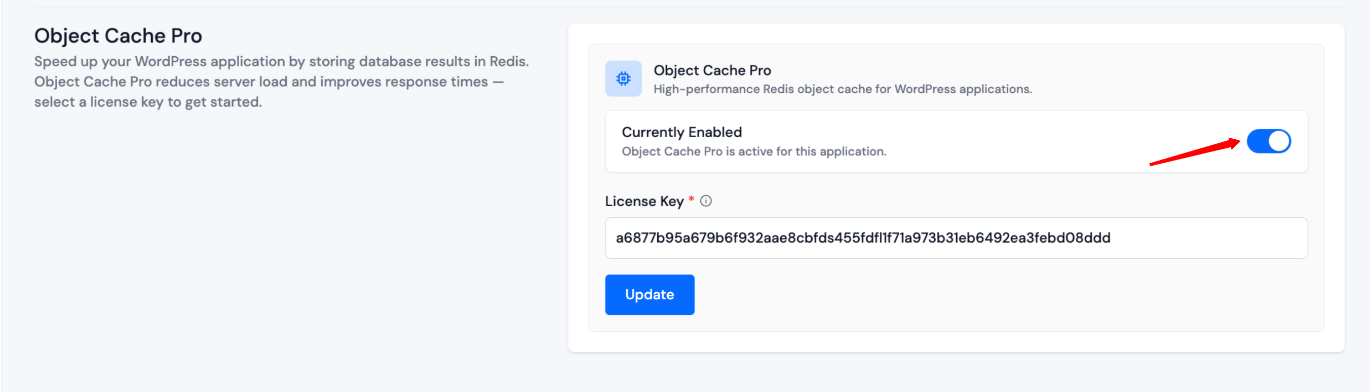 Disable Object Cache Pro