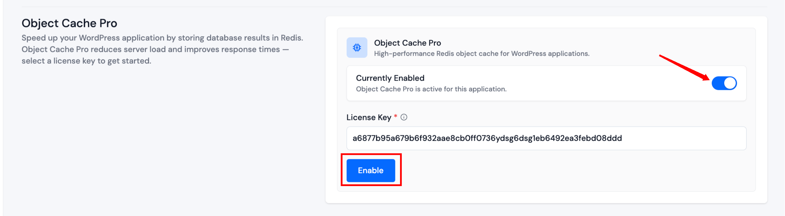 Enable Object Cache Pro with license key