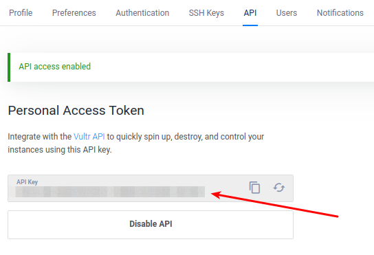 Vultr API Token
