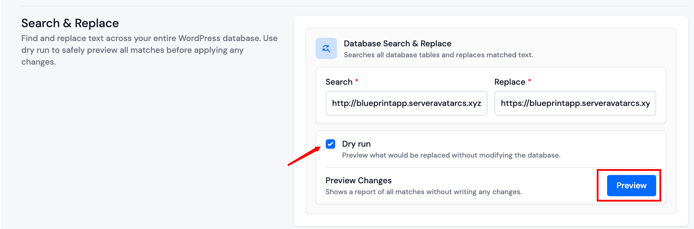 Search and Replace form with Dry run enabled