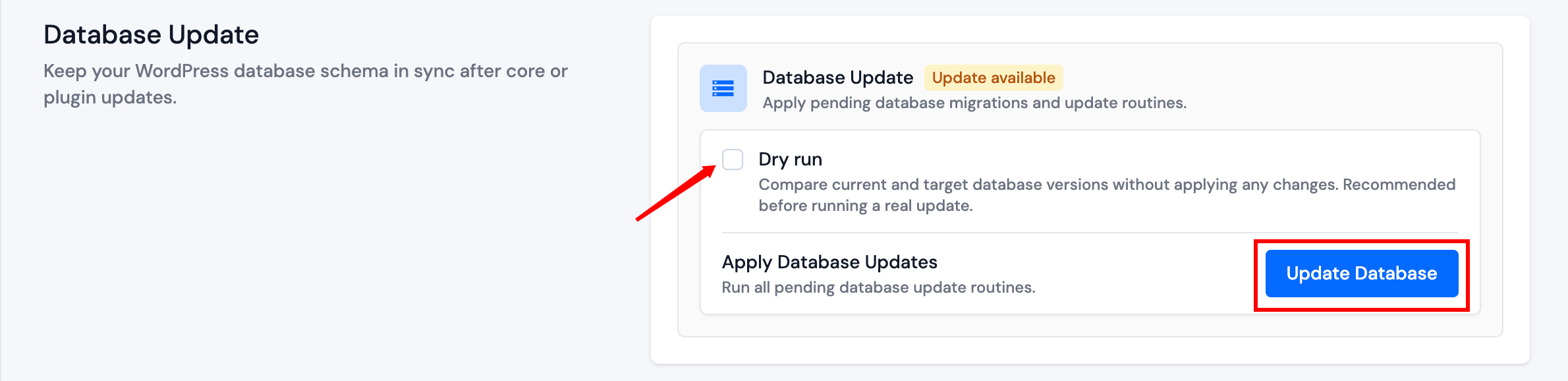 Database Update with dry run disabled