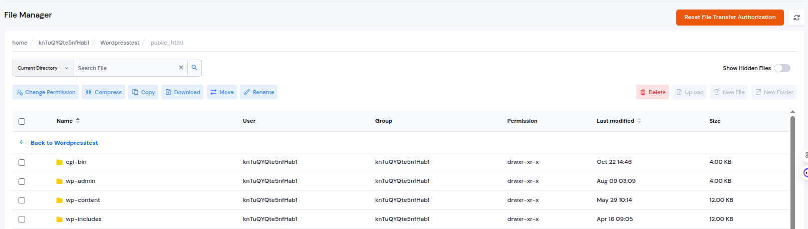 File Manager - ServerAvatar