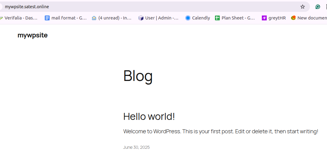 Website Preview