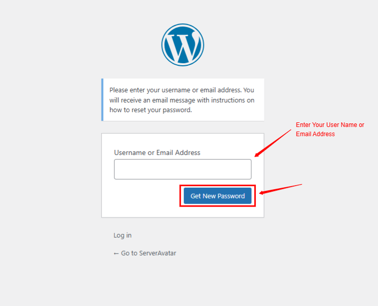 Wordpress New Password