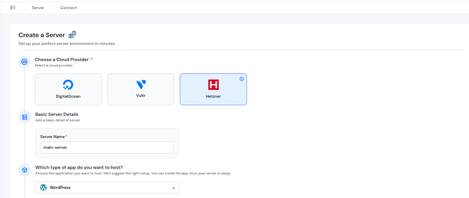 Set up a Hetzner server - ServerAvatar