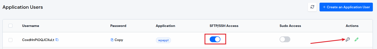 Application User
