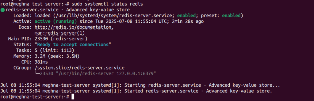 Check Redis Status