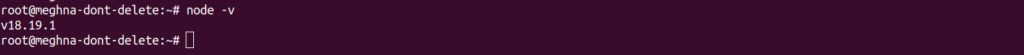 Check Nod.js Version