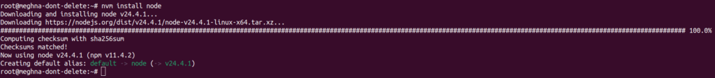 Node Version Manager