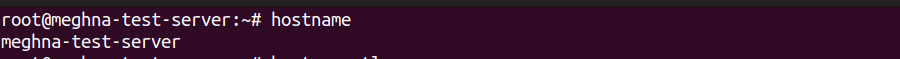 Hostname - ServerAvatar