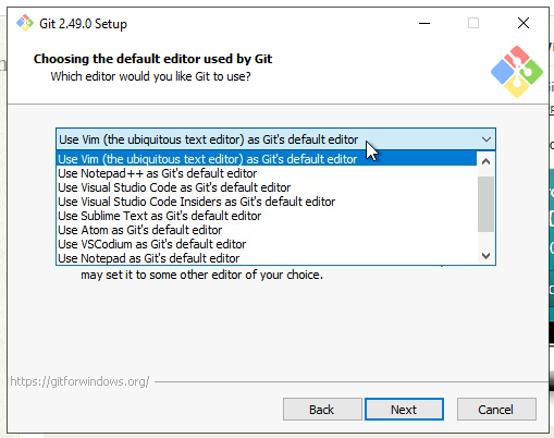 Choose Default Editor-ServerAvatar