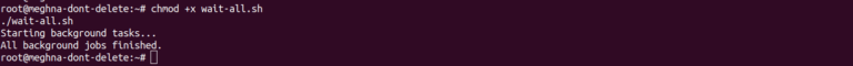 How to Use the wait Command in Bash