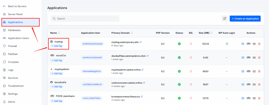 Application Panel-ServerAvatar