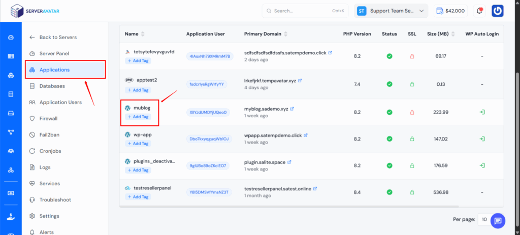 Application Dashboard - ServerAvatar