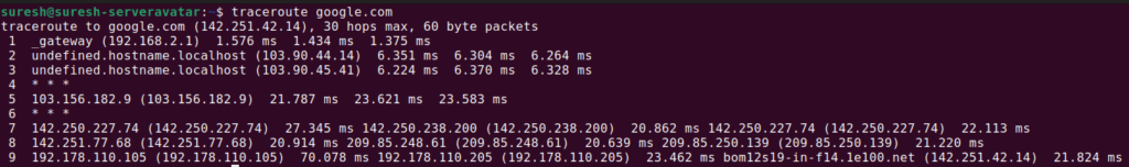 Traceroute Command Output