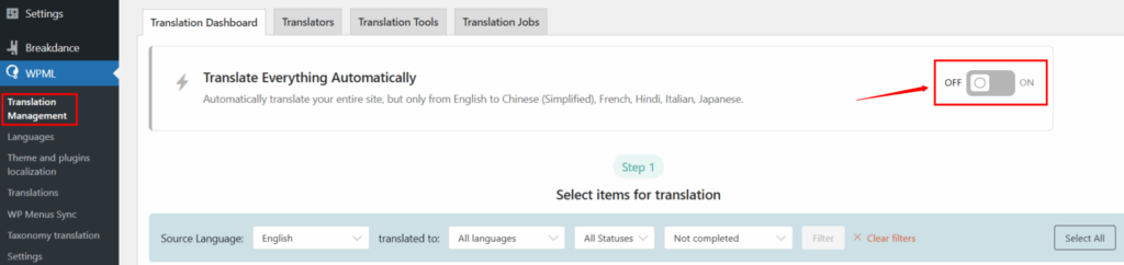 Translate Everything Automatically - ServerAvatar