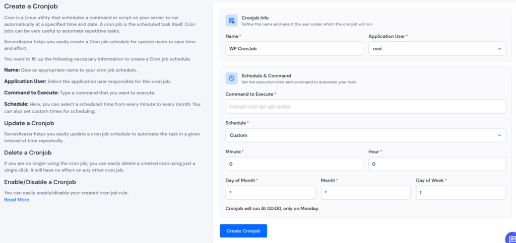 ServerAvatar Cronjob Setup -ServerAvtar