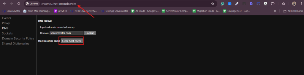 DNS Setup - ServerAvatar