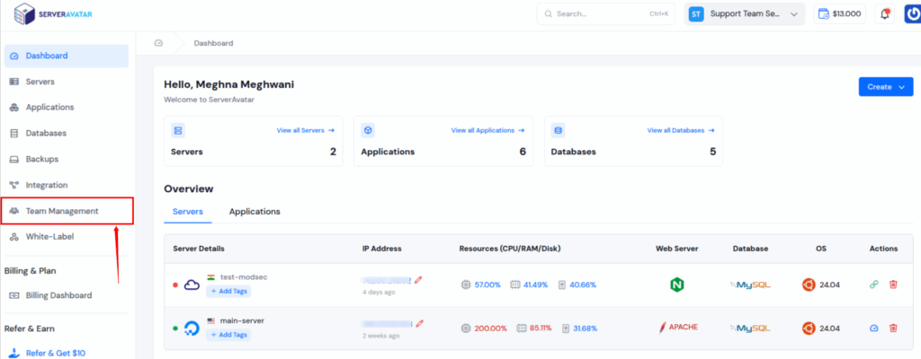 Team Managment - ServerAvatar