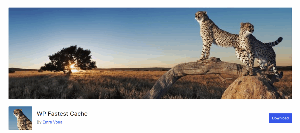 Caching Plugins - WP Fastest Cache