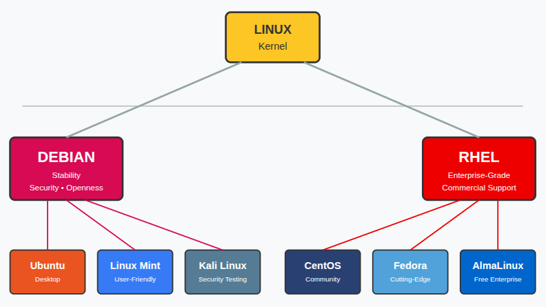 Debian vs RHEL - ServerAvatar