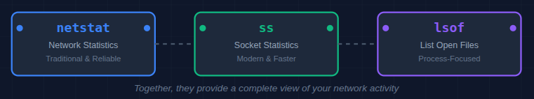 netstat, ss, and lsof overview - ServerAvatar