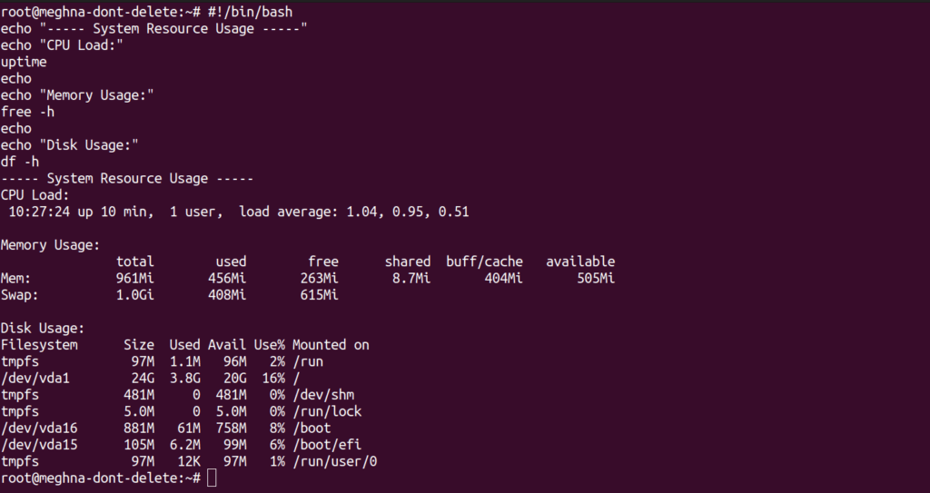 bash scripts output - ServerAvatar