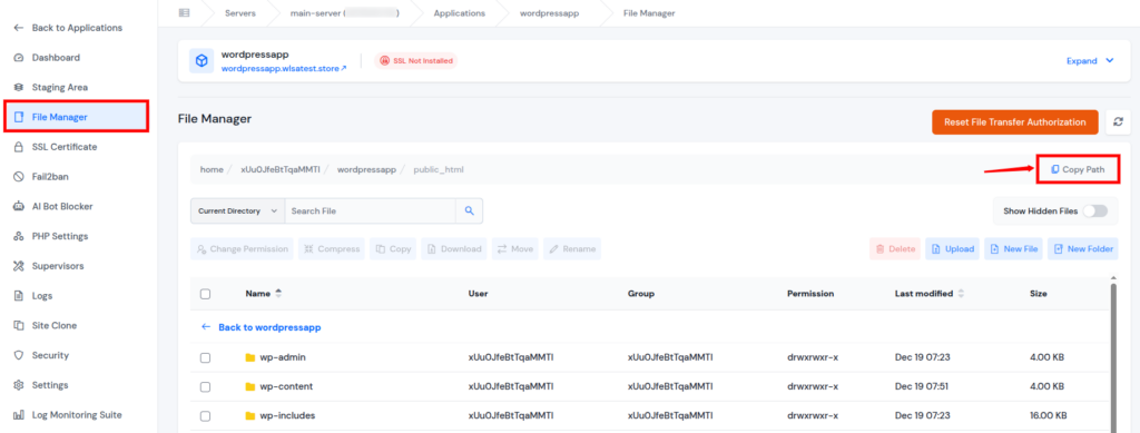 ServerAvatar v7.15.3 - Copy from File Manager