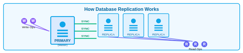 Database Replication - Database Clustering, Replication & Sharding