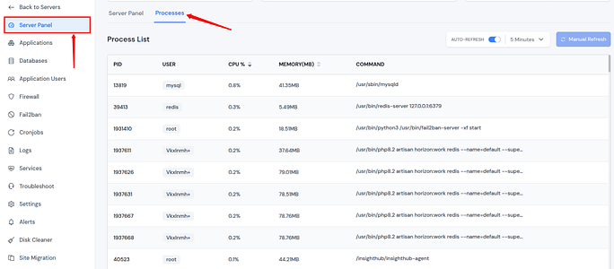 server process - ServerAvatar v7.15.5