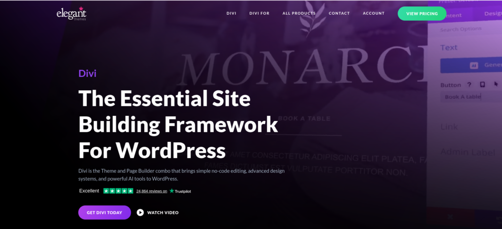 Divi - website themes