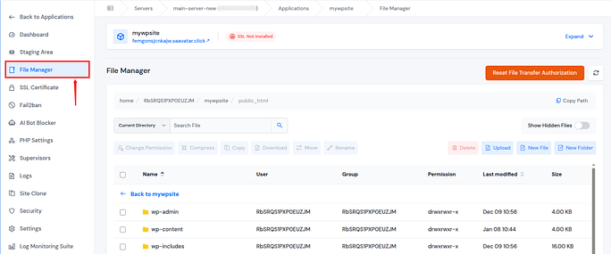 ServerAvatar FileManager