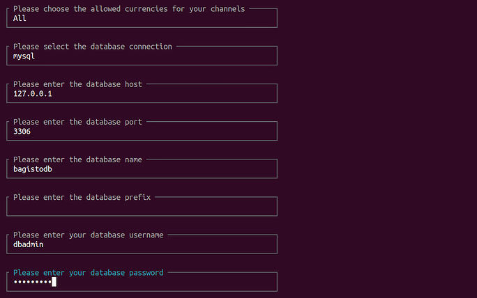 application details - Deploy Bagisto