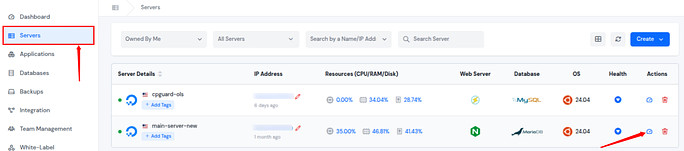 server dashboard - ServerAvatar