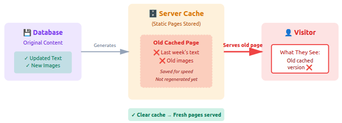 Website Cache - WordPress changes not showing