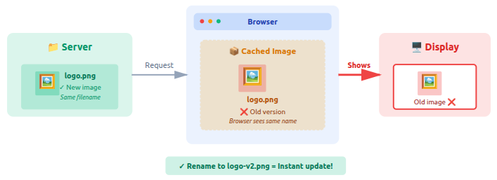 Image and Media Caching - WordPress changes not showing
