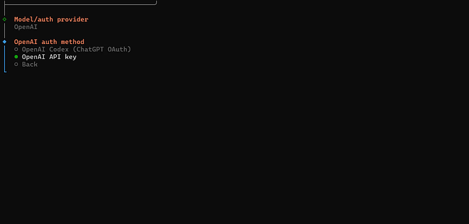 openai key - OpenClaw