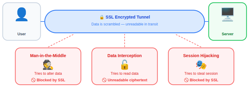 prevent cyber attacks - SSL certificate