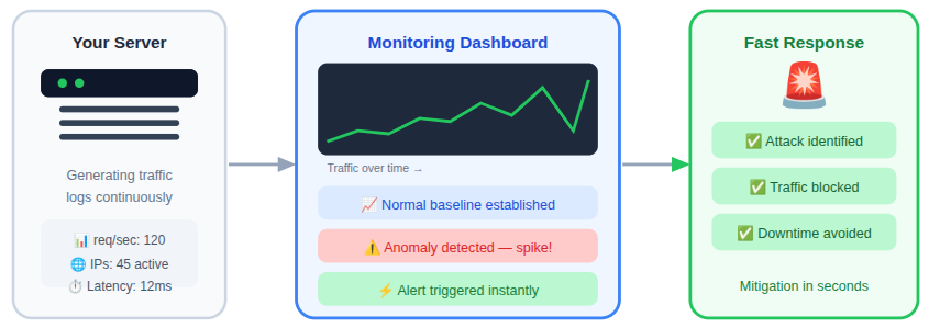 traffic monitoring - DDoS attacks