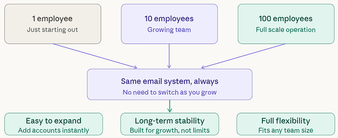 scale with your business - Professional Domain Email