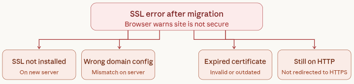 SSL Error - WordPress post-migration troubleshooting