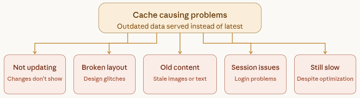 common issues - clear website cache