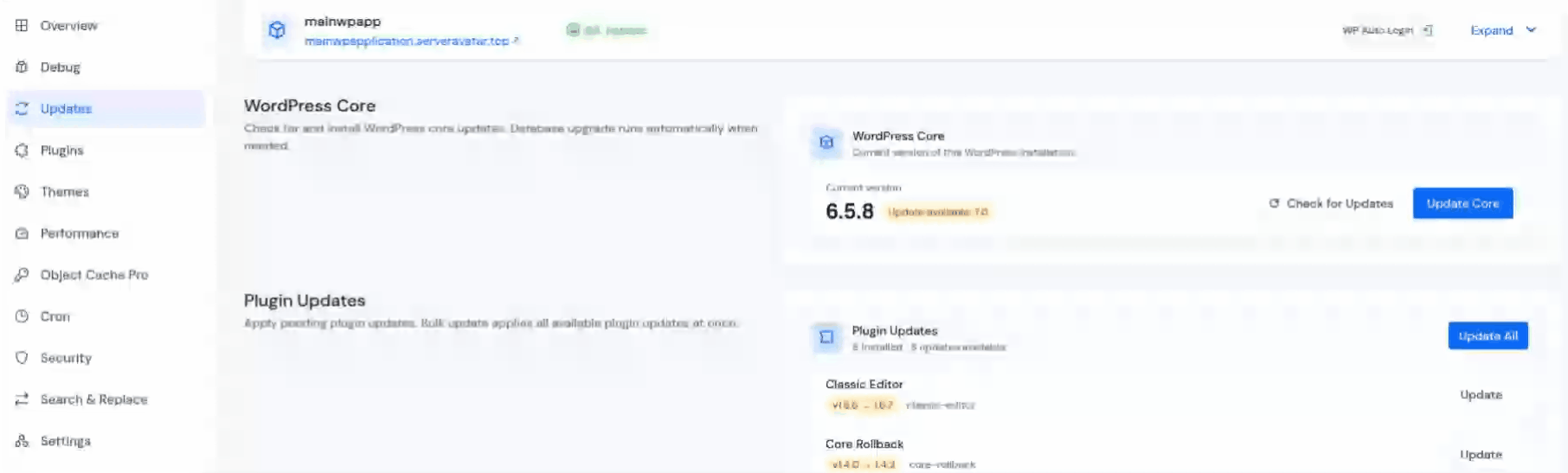 wordpress core update - Update WordPress