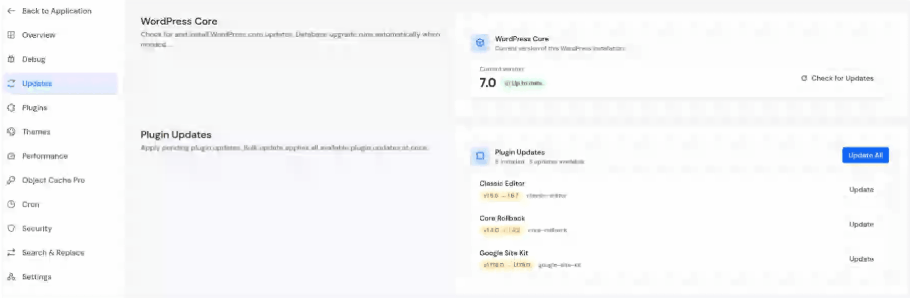 update plugin - Update WordPress