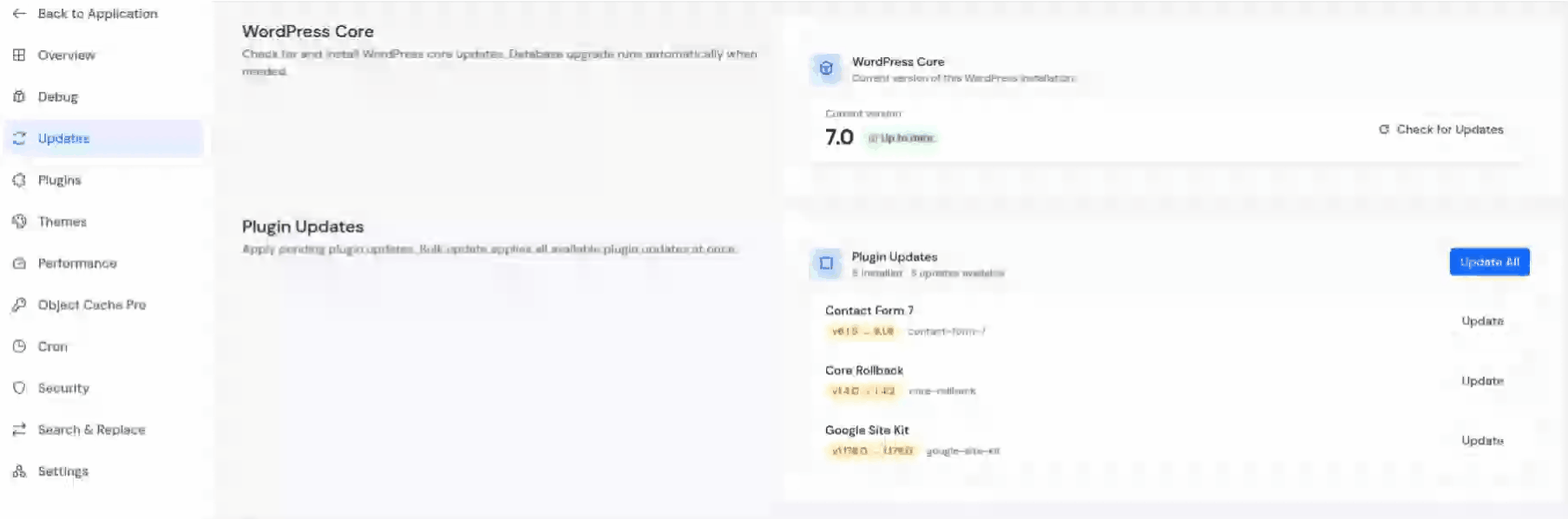update all plugin - Update WordPress