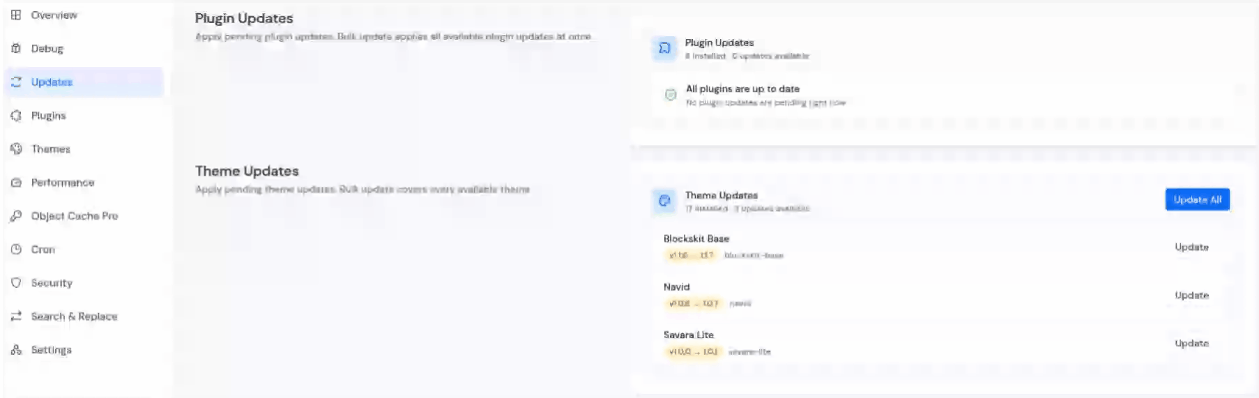 update all theme - Update WordPress