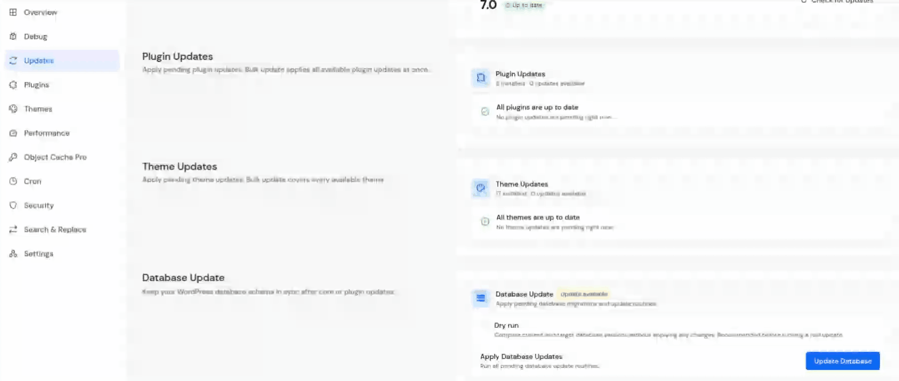 Dry Run - Update WordPress