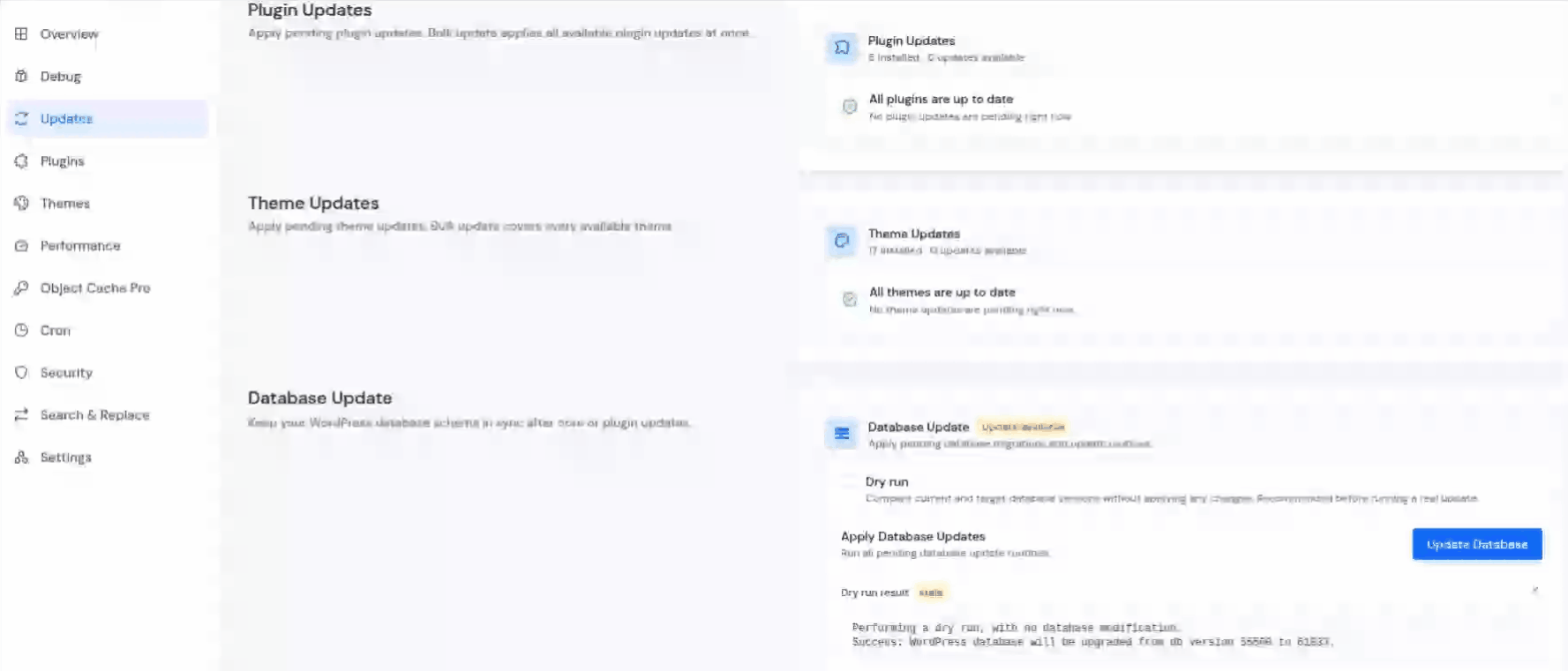 Update Database - Update WordPress