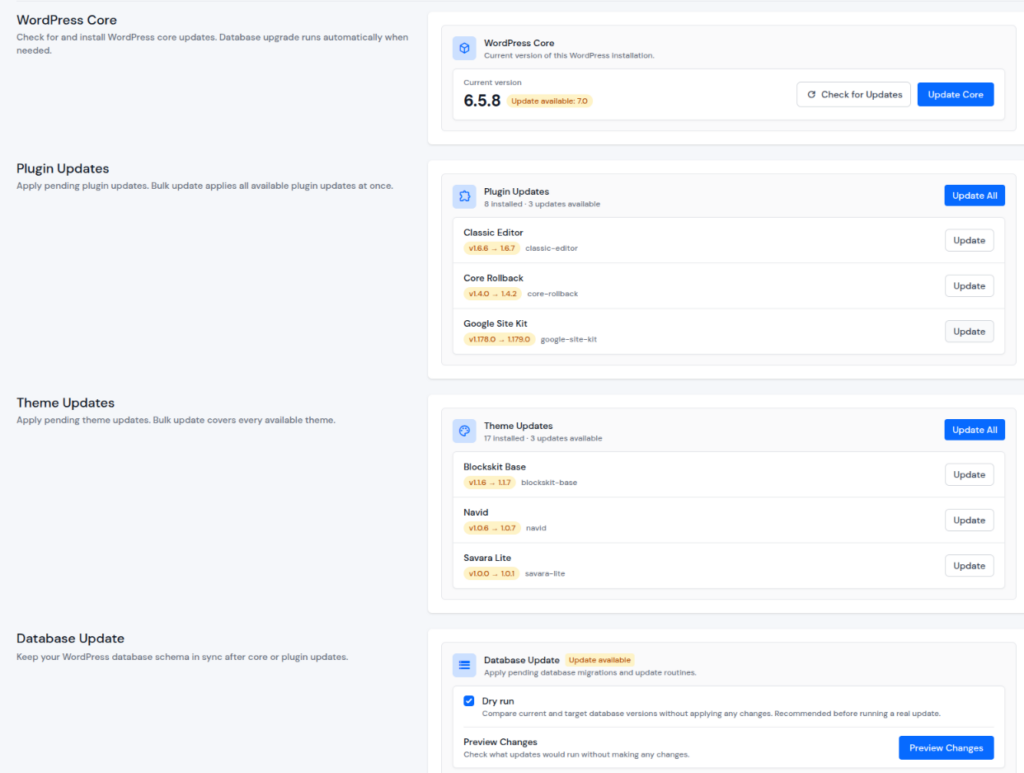 update overview - Update WordPress